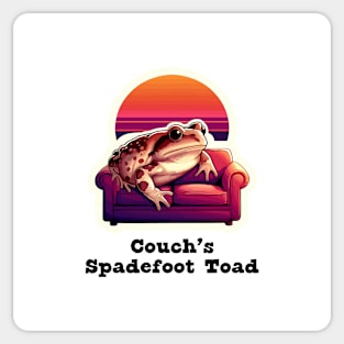 Couch's Spadefoot Toad Sticker